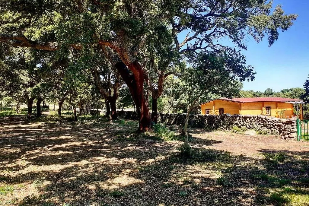 Domek alpejski Eco Lodge Nella Natura Con Piscina Privata 