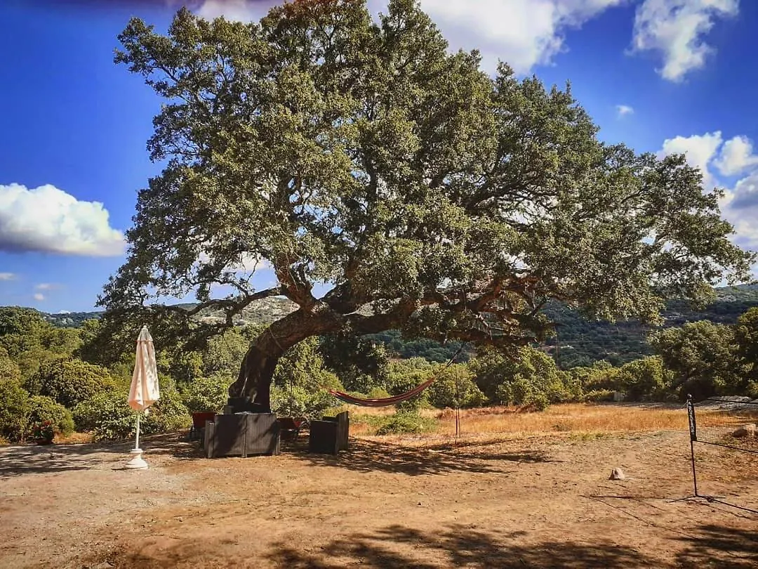 Domek alpejski Eco Lodge Nella Natura Con Piscina Privata 