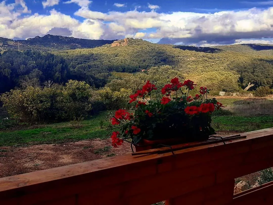 Domek alpejski Eco Lodge Nella Natura Con Piscina Privata 