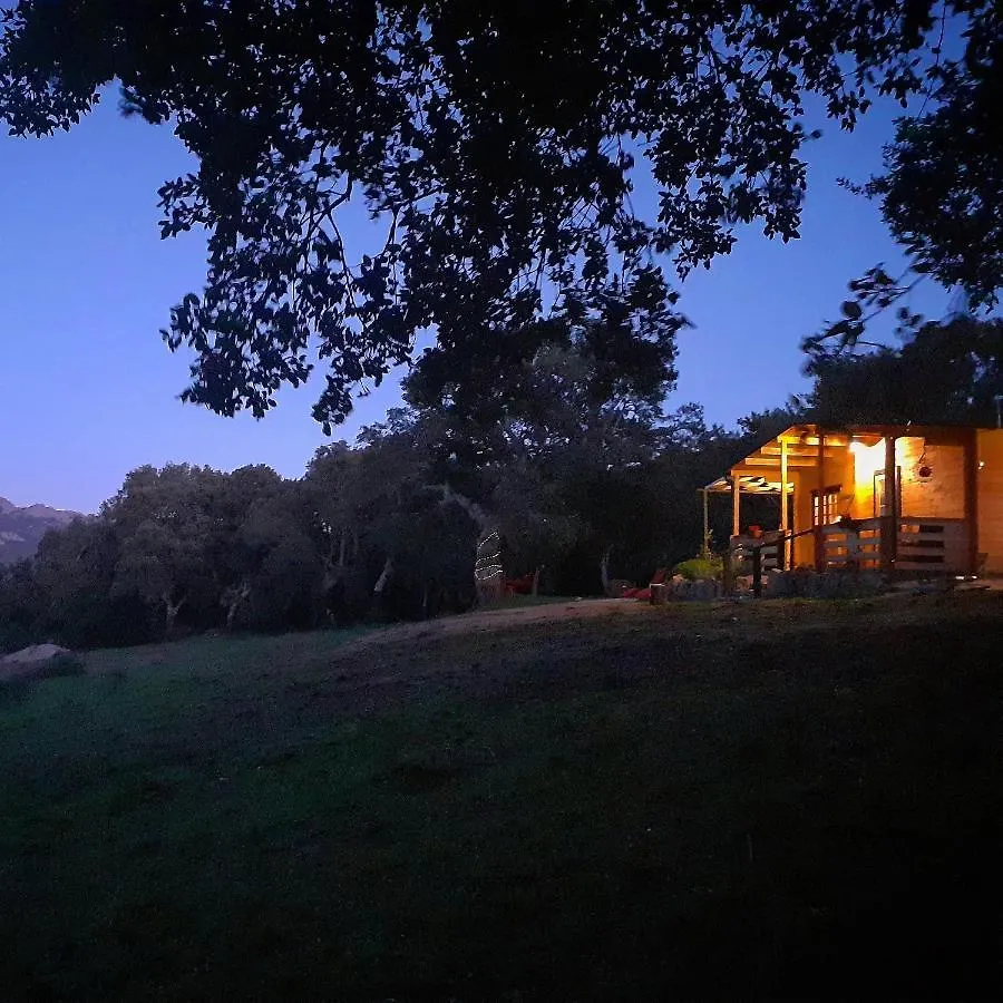 Eco Lodge Nella Natura Con Piscina Privata 