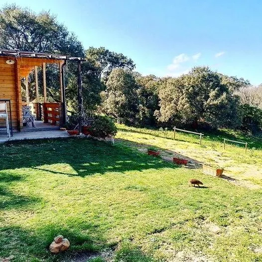 Eco Lodge Nella Natura Con Piscina Privata 